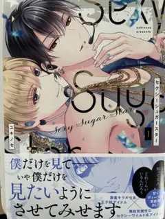 セクシーシュガースター BL ユキノセ