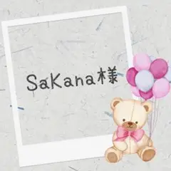 羊毛フェルト　SaKana様