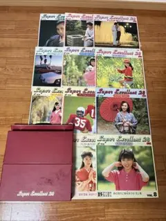 1989年パイオニアCB-V2480カラオケレーザーディスク収納ホルダー 1989年パイオニアCB-V2480カラオケレーザーディスク収納ホルダー