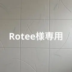 Item thumbnail for item e6ac2d5d-0cdf-417a-a40e-ec0e45f7501d