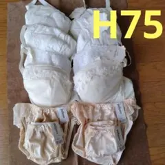 ドルチェフィオラ　フェアリーブラジャー＆パリシェショーツまとめ売り