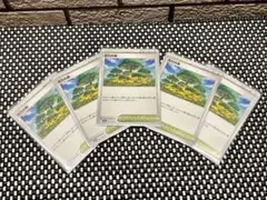 ポケモンカード　活力の森　U 5枚セット