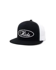 Item thumbnail for item 41094e49-1b06-4489-bc6d-eb50e4c6173a