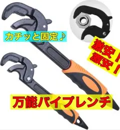 Item thumbnail for item 1c0e9caf-d24e-4694-9b8d-2d1307d83996