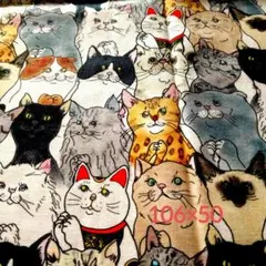 お願い猫ちゃんいっぱい生地　106×50