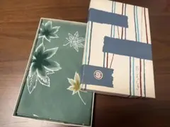 Item thumbnail for item c4e0ab46-b202-46b5-8f01-be328f634516