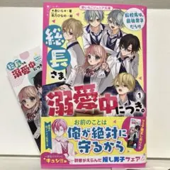 【しおり付き】総長さま、溺愛中につき。 ①