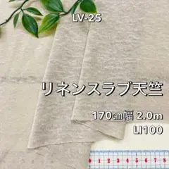 NO,LV-25 170㎝幅 2.0m リネンスラブ天竺ニット広幅　ベージュ