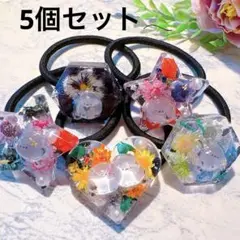 Ｎｏ．3 シマエナガ ドロップヘアゴム 5個