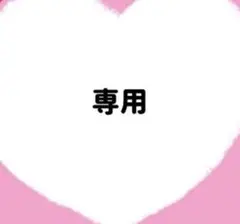 専用
