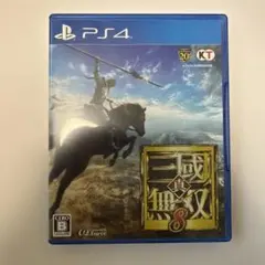 真・三國無双8