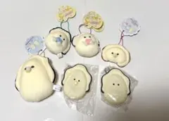 つぶらな瞳の生カキセット売り