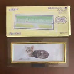 フォトフレーム ガラス 金 透明 ゴールド
