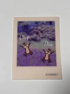 ディズニーストア ステッカー クリアステッカー チップとデール チップ デール
