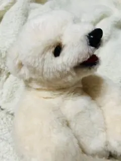 国内作家様　テディベア　ぬいぐるみ　白くま