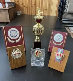 トロフィー（スキー）と表彰楯5個セット