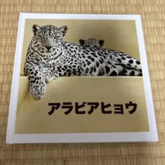 Item thumbnail for item bde8154b-5100-443a-8b32-c4b4c1dab553