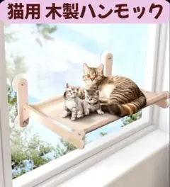 Item thumbnail for item 809ac877-d954-42ed-aed3-ac394051bd2b