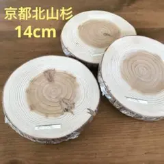 Item thumbnail for item 6a5dd661-bf69-4bc3-b37d-aba02426e3d2