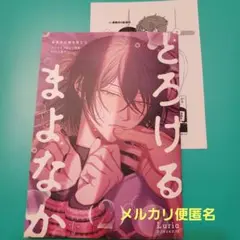 真夜中の俺を見て2　アニメイト20p小冊子　ペーパー