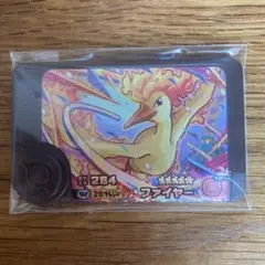 ポケモンフレンダ　ベストタッグ第一弾 ファイヤー