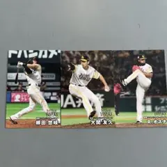 2025年　プロ野球チップス　カード　福岡ソフトバンクホークス