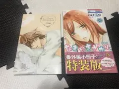 なまいきざかり 15巻 番外編 小冊子付き 特装版 帯付き