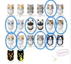 クーニャッツ2 セット 9種 ブチ ハチワレ キジシロ 茶白 ポイント パステル