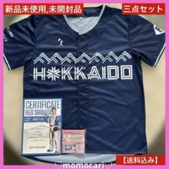 WE LOVE HOKKAIDOユニフォーム2025限定×非売品×柴田猪子投手