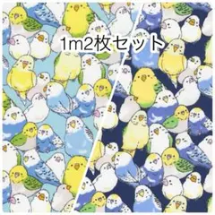 ラスト 1m2枚セット インコ オックス