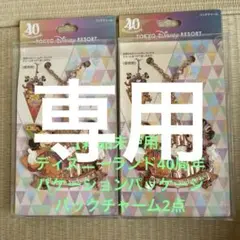 【新品未使用】ディズニーランド40周年 バケーションパッケージ バッグチャーム