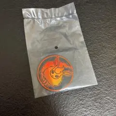 新品ポケモンカード　コイン　ブースター　ブイズ