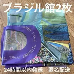 ブラジル　ポンチョ2つセット