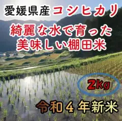 【令和4年新米】棚田米 コシヒカリ 愛媛県産 お試し 2キロ