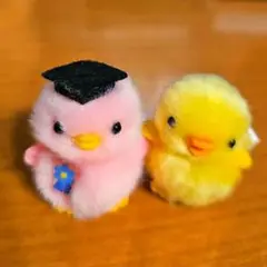 ぴよりーな 卒業ひよこ ピンク ひよこのおかげ ノーマル