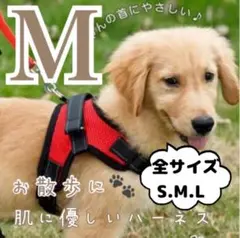 Mサイズ ハーネス 犬用品 レッド 赤 犬服 ペット服 胴輪 新品 簡単着脱