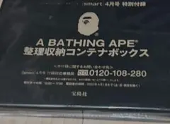 A BATHING APE 整理収納コンテナボックス