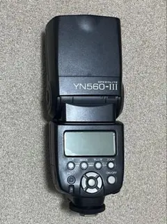 Item thumbnail for item 439f3aab-d8a2-40d5-baf0-0b6f44a6db2b