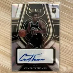 Item thumbnail for item 529fe5e8-7277-48f7-bc3c-3b2a6cb4ea90