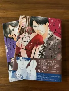 冷たい上司は本音を隠す ～さよならの代わりに 皆川編～ 上下2巻セット