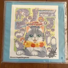 チャオフェス ちゃおくじ ねこ、はじめました