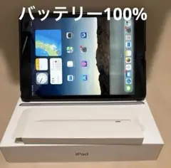 【動作確認済】Apple iPad（第9世代）
