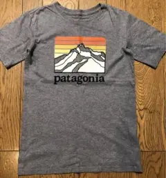 【patagonia】半袖 グレー Tシャツ キッズ 12 150 送料込み