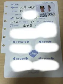 石見颯真 プロフィールシート