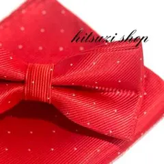 Item thumbnail for item 3d9c9ca0-35df-4e06-9ed5-476cbc0dcd57