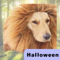 Item thumbnail for item 41df49c2-c9ac-47d8-a420-a1ddd9b5efd4