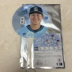 埼玉西武ライオンズ 高橋光成 シークレットミニうちわキーホルダー