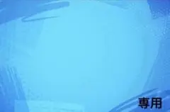 専用