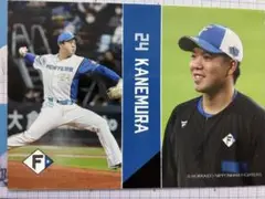 ファイターズ　金村尚真