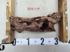 Item thumbnail for item f84482af-06f7-4210-aa44-875399c69b80